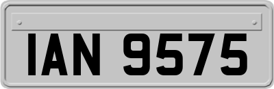IAN9575