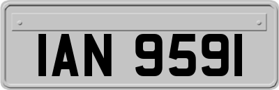 IAN9591