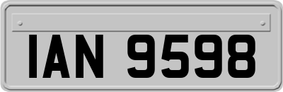 IAN9598