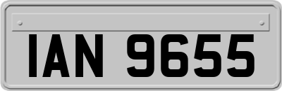 IAN9655