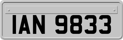 IAN9833