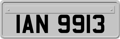 IAN9913