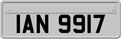 IAN9917