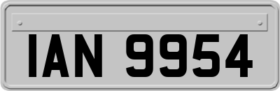 IAN9954