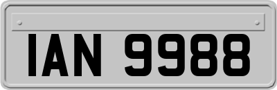 IAN9988