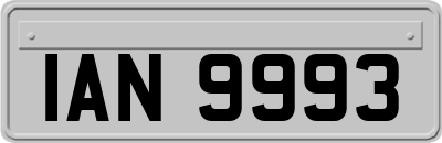 IAN9993