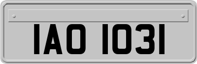 IAO1031