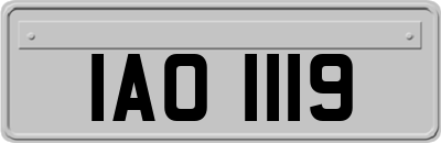 IAO1119