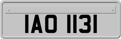 IAO1131