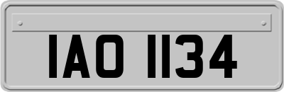 IAO1134