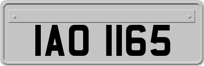 IAO1165