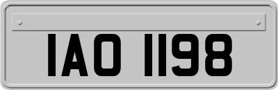 IAO1198