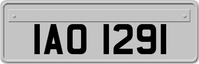 IAO1291