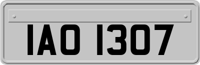 IAO1307
