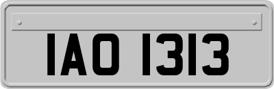 IAO1313