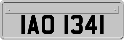 IAO1341