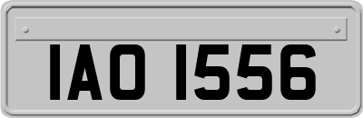 IAO1556
