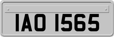 IAO1565