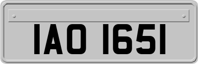 IAO1651