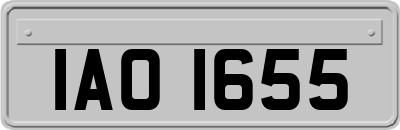 IAO1655