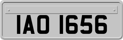 IAO1656