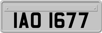 IAO1677
