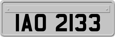 IAO2133