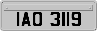 IAO3119
