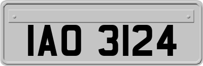 IAO3124