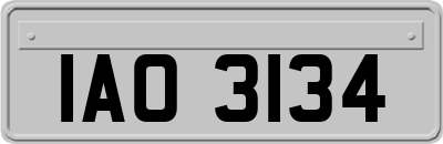 IAO3134