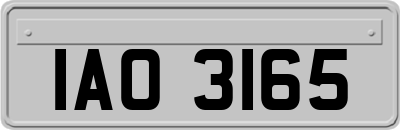IAO3165