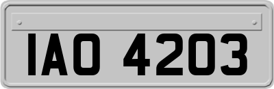 IAO4203