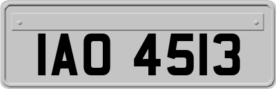 IAO4513