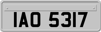 IAO5317