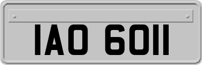 IAO6011