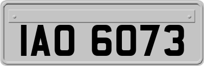 IAO6073