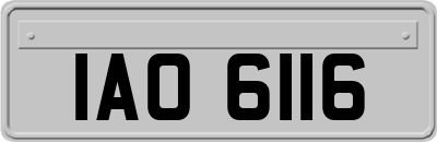 IAO6116