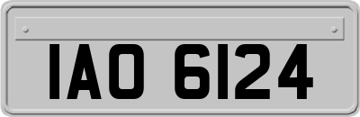 IAO6124