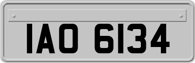 IAO6134