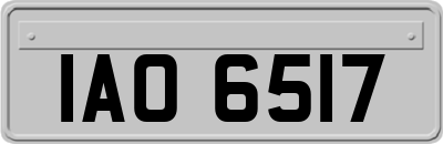 IAO6517