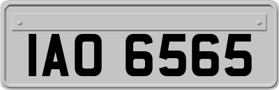 IAO6565