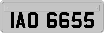 IAO6655