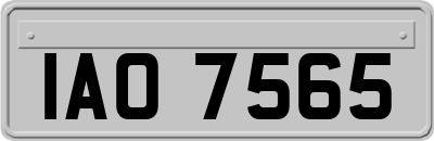 IAO7565