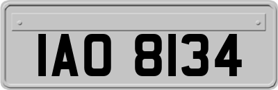 IAO8134