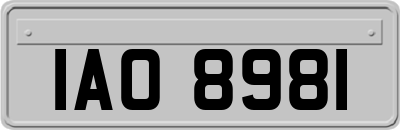 IAO8981