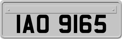 IAO9165