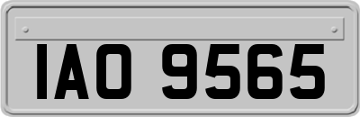 IAO9565