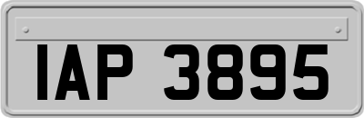 IAP3895