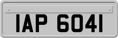 IAP6041