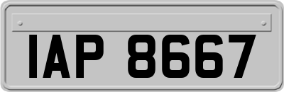 IAP8667